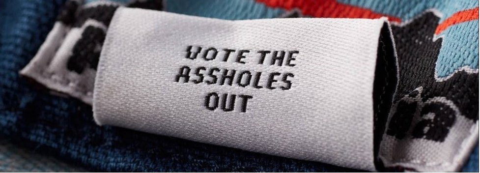 Vote the Assholes Out